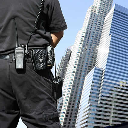 Seguridad Intramuros